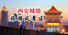 美女老师抠逼射水中国陕西-西安城墙旅游风景区